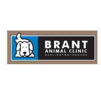 Brant Animal Clinic image 1